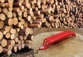 Бирки с RFID для ценных пород древесины